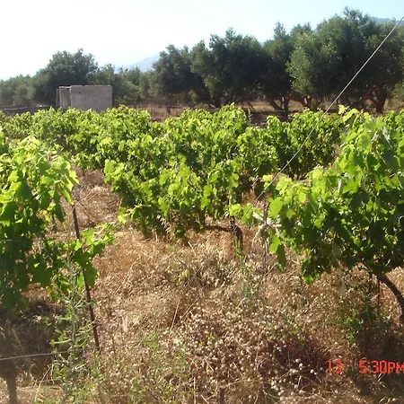 Zorbas Frangokastello